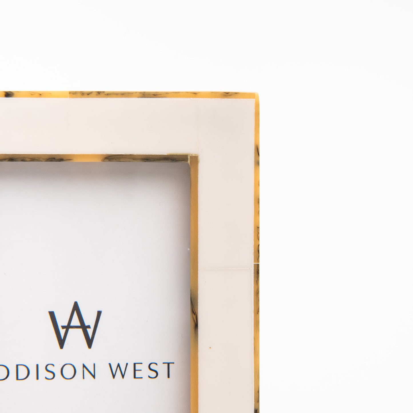 White Tortoise Border Picture Frame